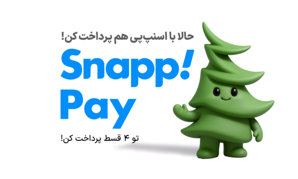 snap pay banner
